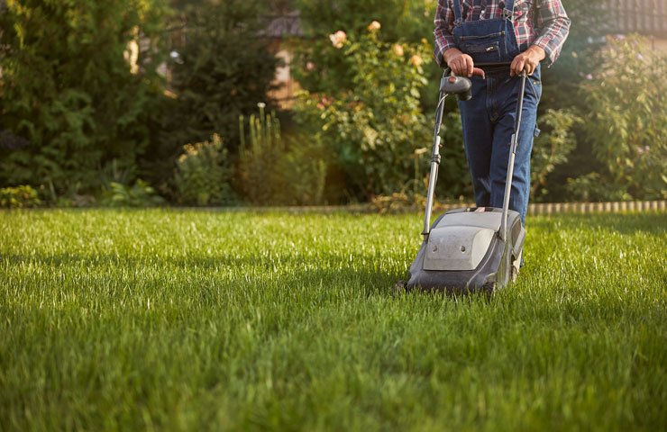 Lawn Care and Maintenance