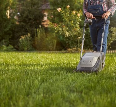Lawn-Maintenance1