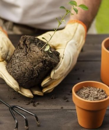 gardening website template gardening-website-template